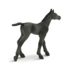 Safari Ltd Arabian Foal