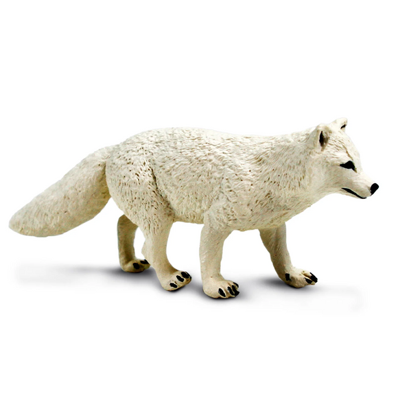 Safari Ltd Arctic Fox