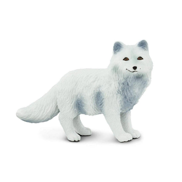 Safari Ltd Arctic Fox