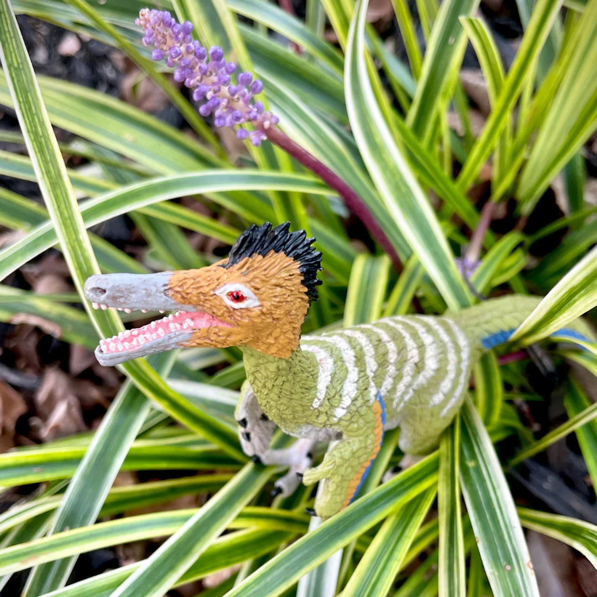Safari Ltd Austroraptor