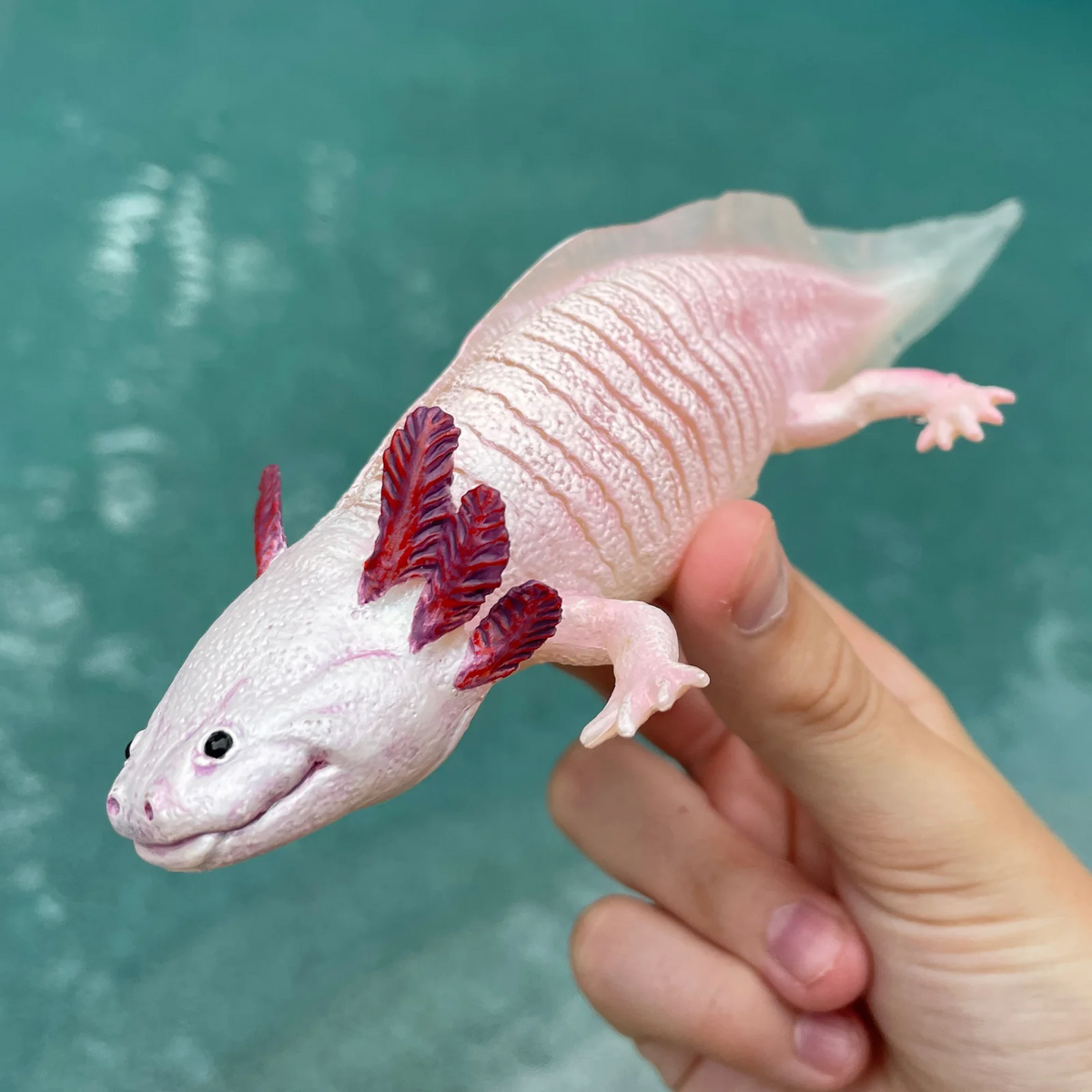 Safari Ltd Axolotl XL