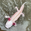 Safari Ltd Axolotl XL