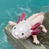 Safari Ltd Axolotl XL