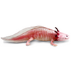 Safari Ltd Axolotl XL