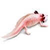 Safari Ltd Axolotl XL