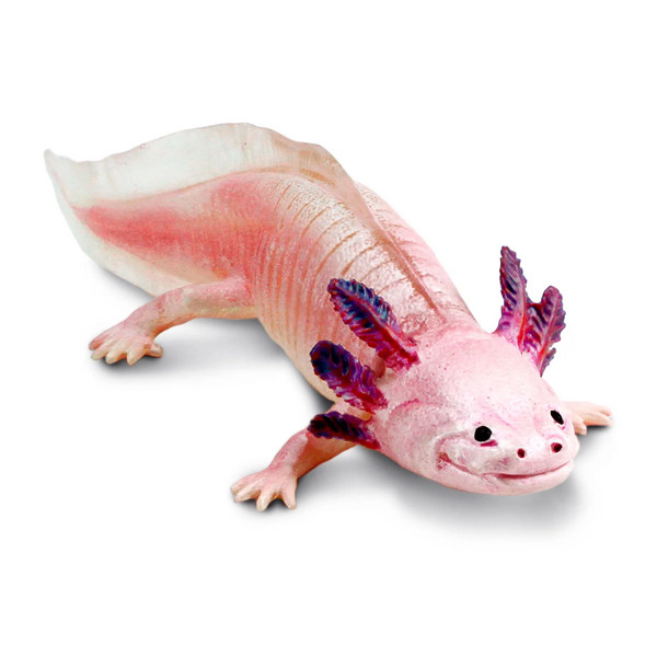 Safari Ltd Axolotl XL