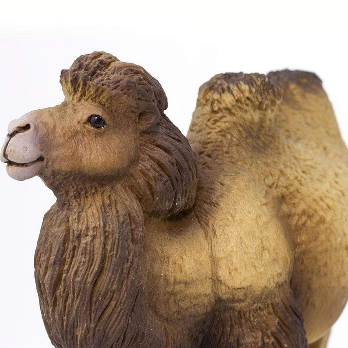 Safari Ltd Bactrian Camel