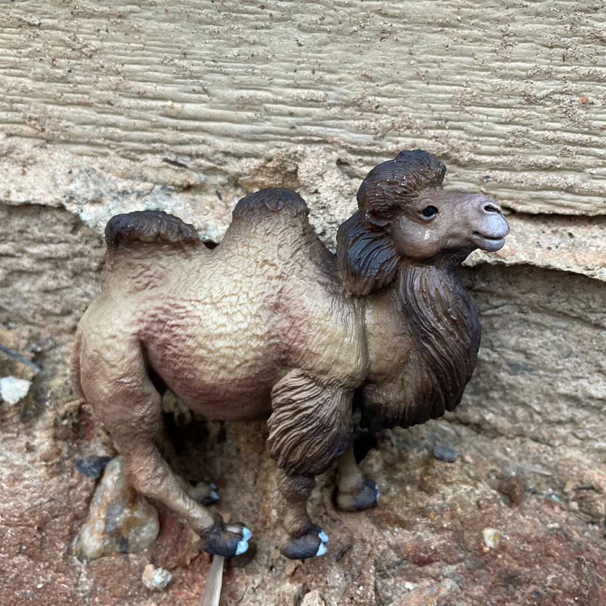Safari Ltd Bactrian Camel