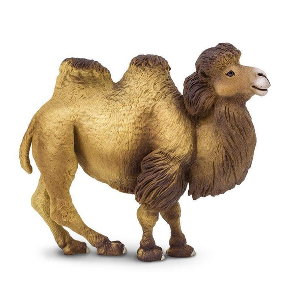 Safari Ltd Bactrian Camel