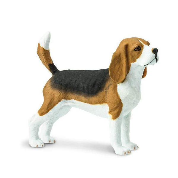 Safari Ltd Beagle