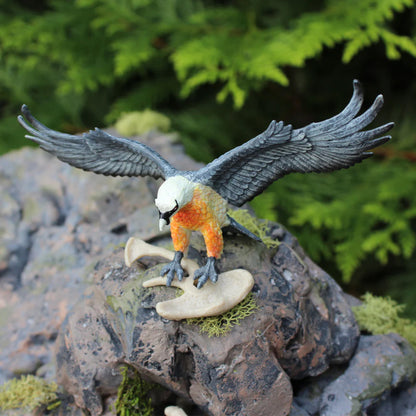 Safari Ltd Bearded Vulture