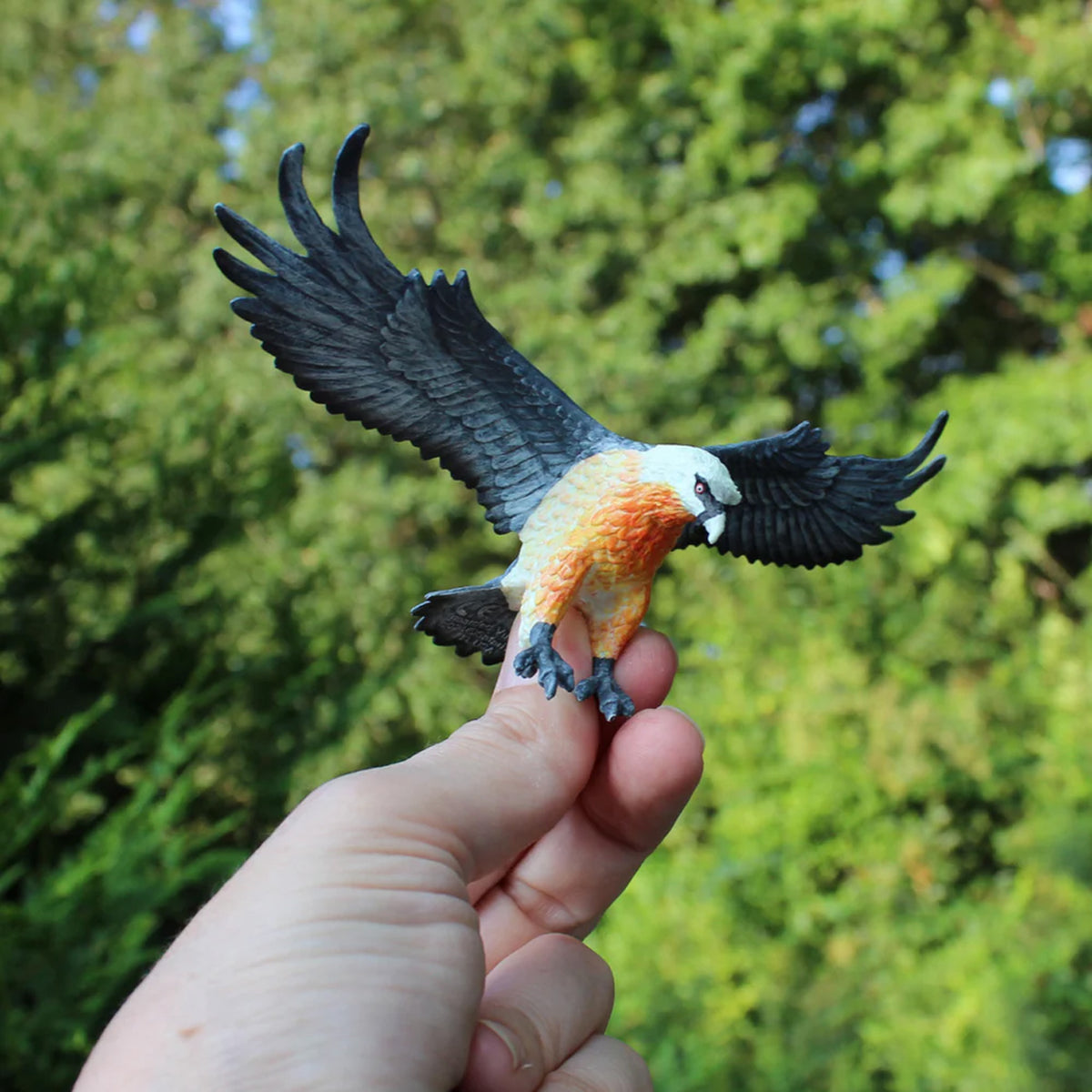 Safari Ltd Bearded Vulture