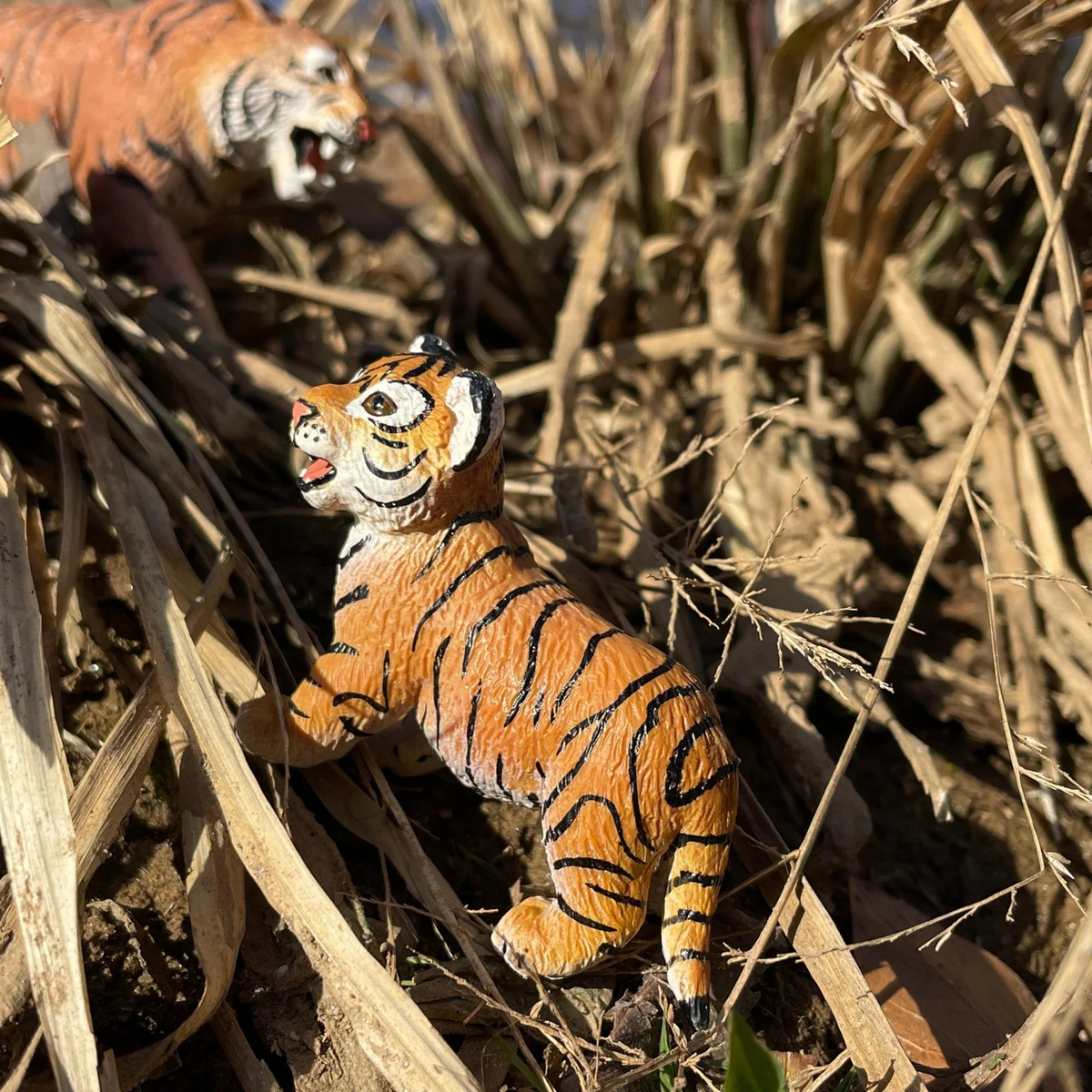 Safari Ltd Bengal Tiger Cub