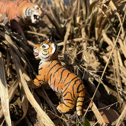 Safari Ltd Bengal Tiger Cub