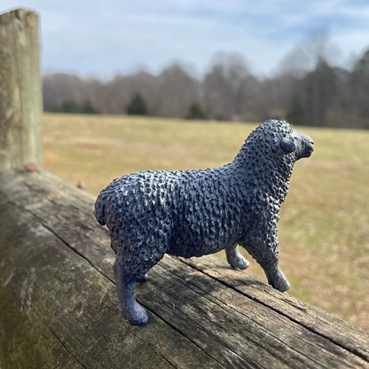 Safari Ltd Black Sheep