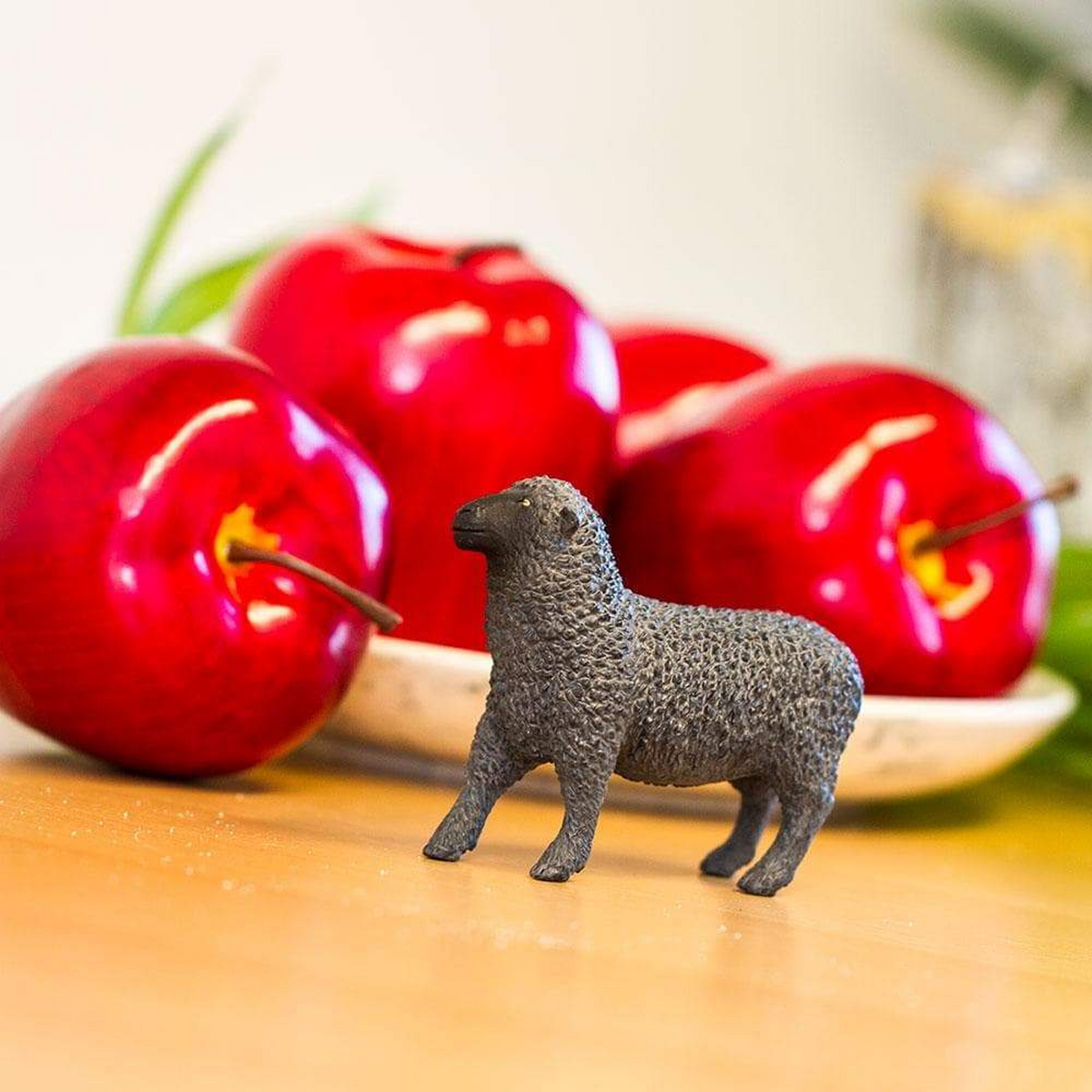 Safari Ltd Black Sheep