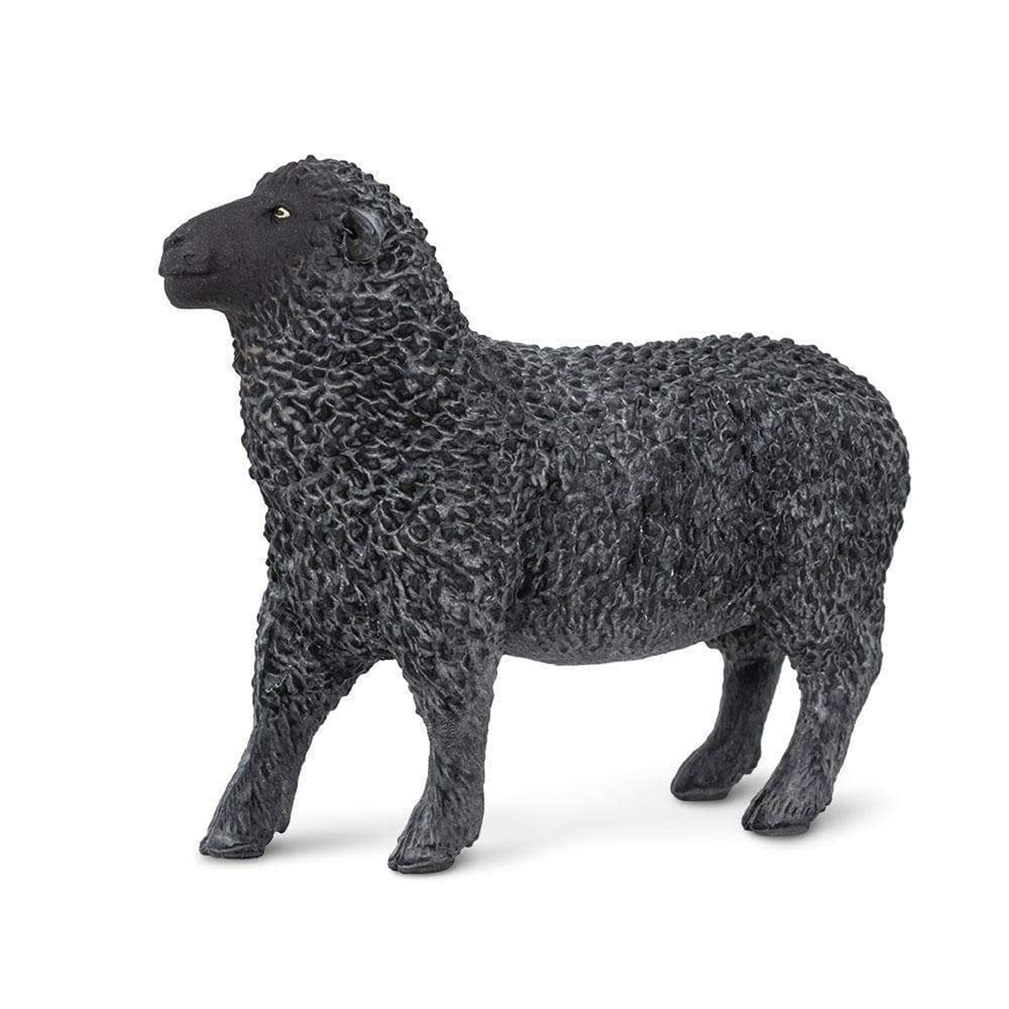 Safari Ltd Black Sheep – Animal Kingdoms Toy Store Safari Ltd Black Sheep – Animal Kingdoms Toy Store
