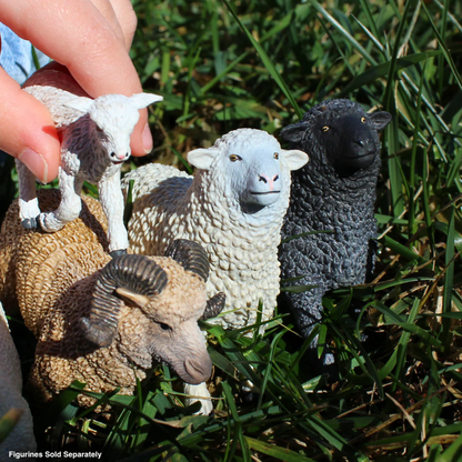 Safari Ltd Black Sheep