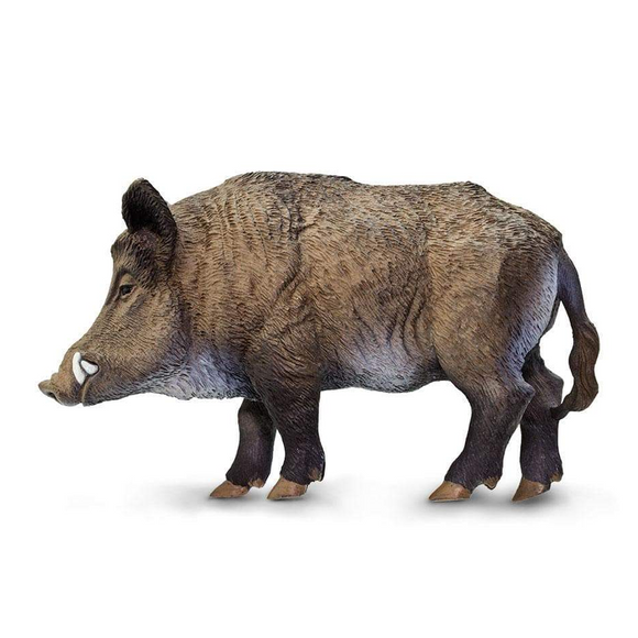 Safari Ltd Boar