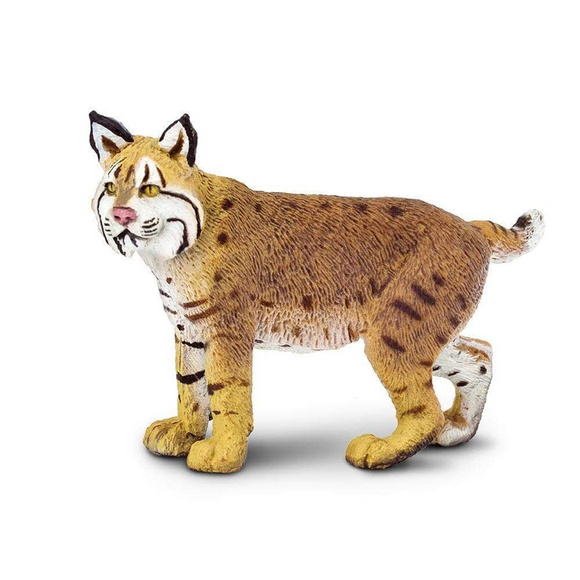 Safari Ltd Bobcat