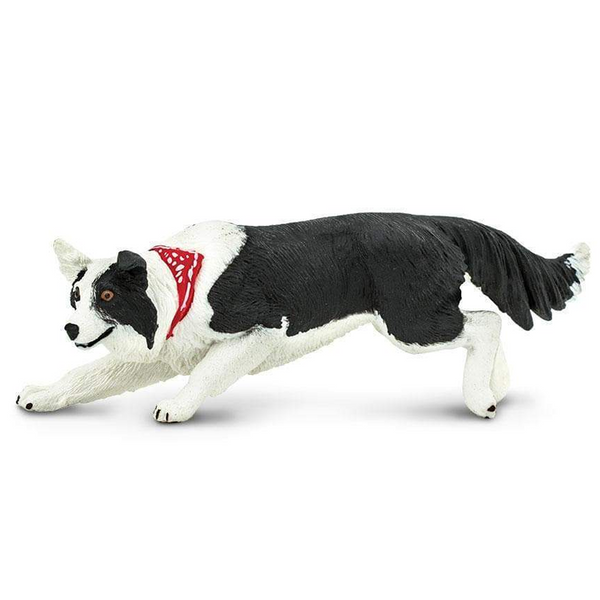 Safari Ltd Border Collie