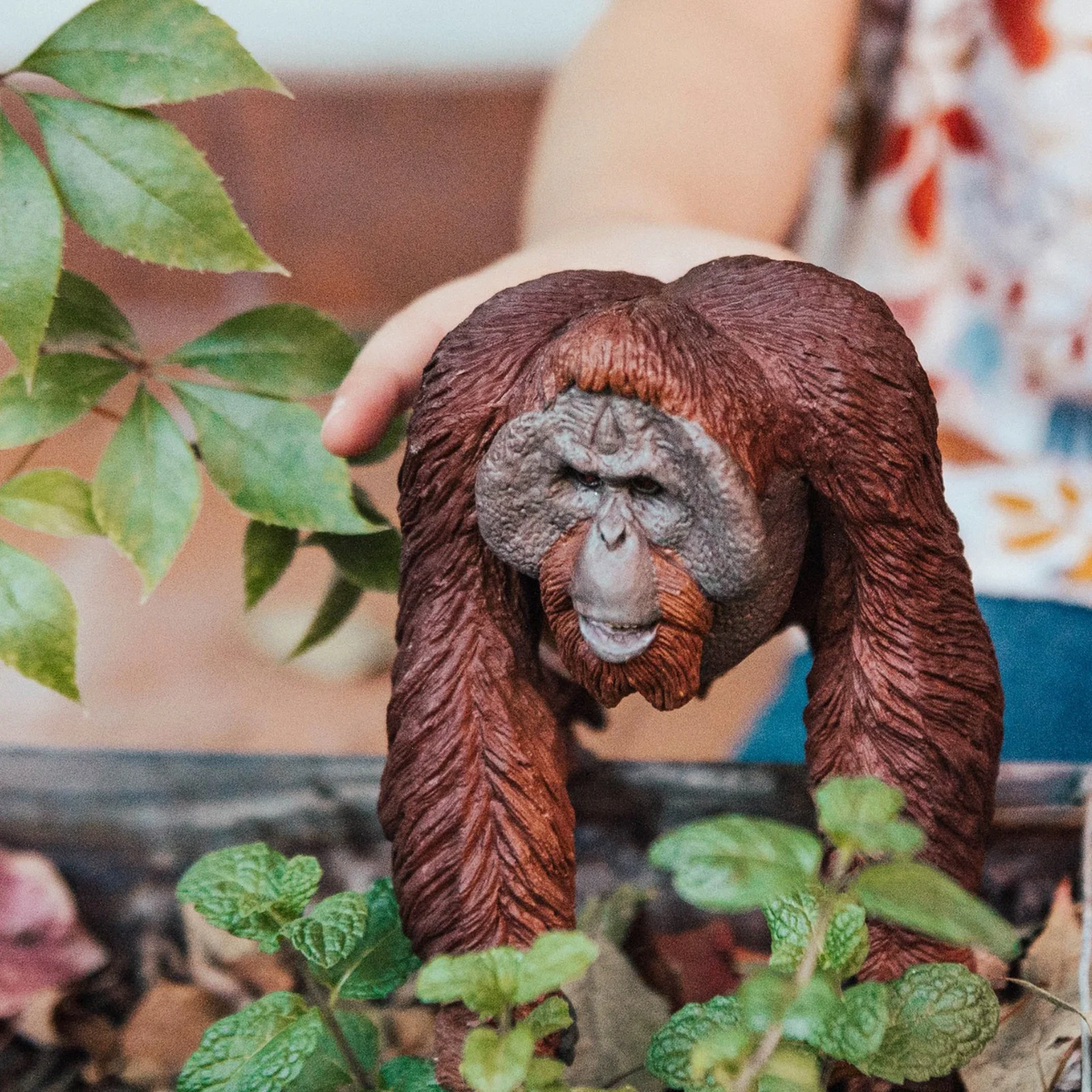Safari Ltd Bornean Orangutan XL