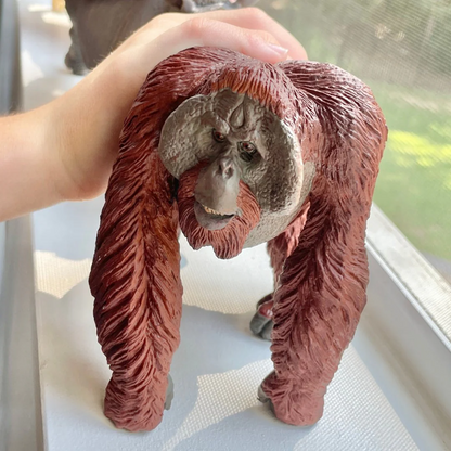 Safari Ltd Bornean Orangutan XL