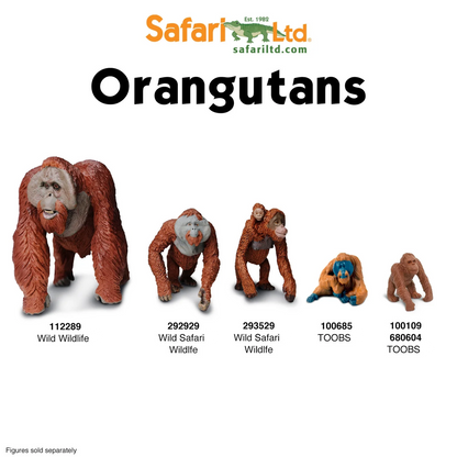 Safari Ltd Bornean Orangutan XL