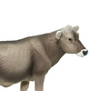 Safari Ltd Brown Swiss Cow