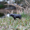 Safari Ltd Cape Buffalo