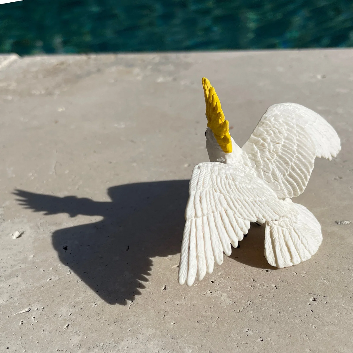 Safari Ltd Cockatoo