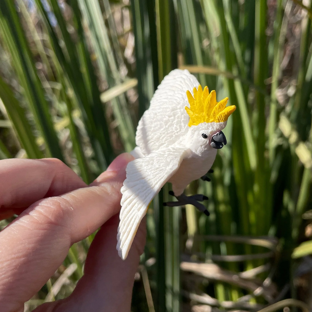 Safari Ltd Cockatoo