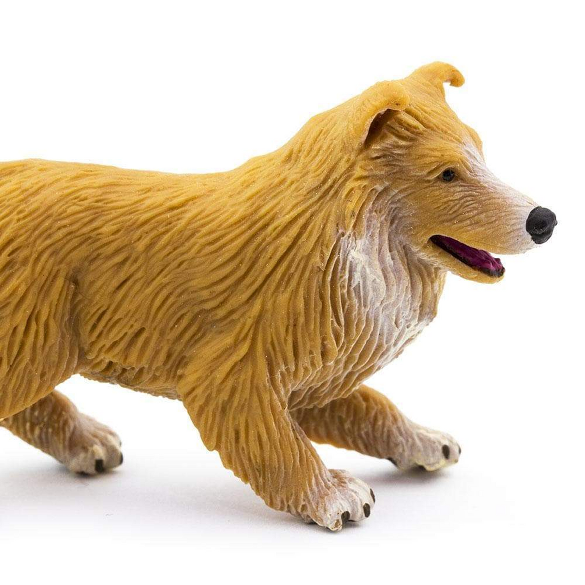 Safari Ltd Collie Puppy