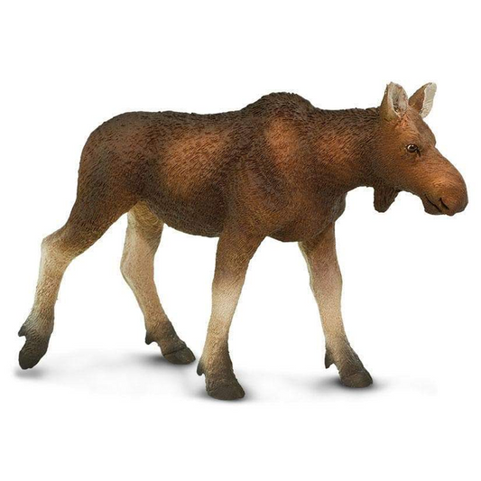 Safari Ltd Cow Moose