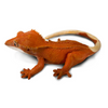 Safari Ltd Crested Gecko XL