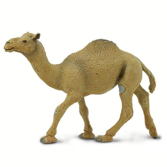 Safari Ltd Dromedary Camel