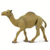 Safari Ltd Dromedary Camel