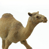 Safari Ltd Dromedary Camel