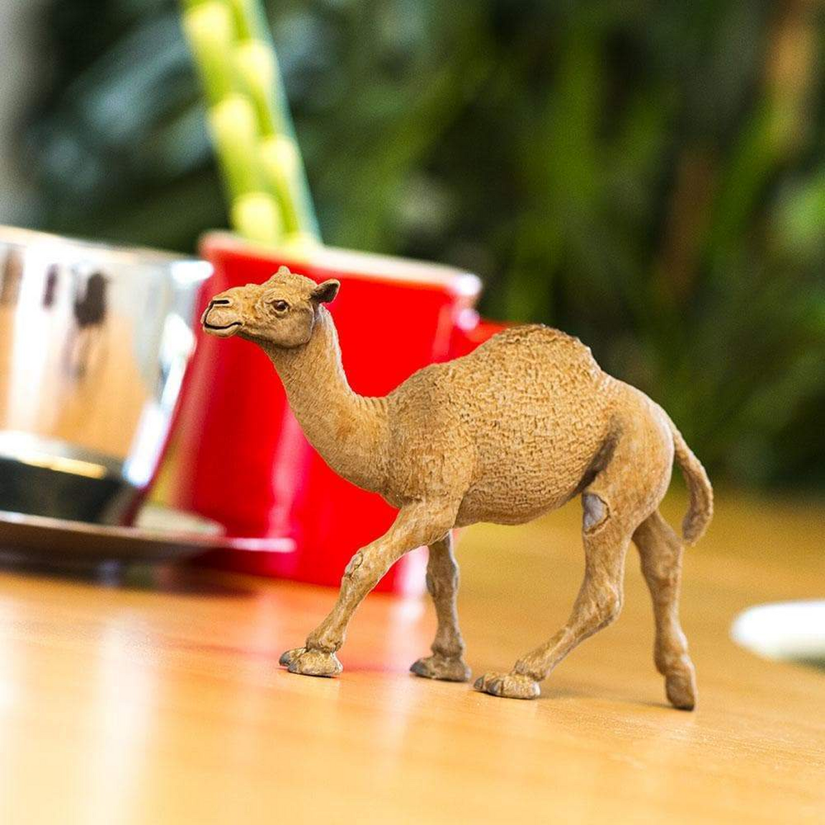 Safari Ltd Dromedary Camel