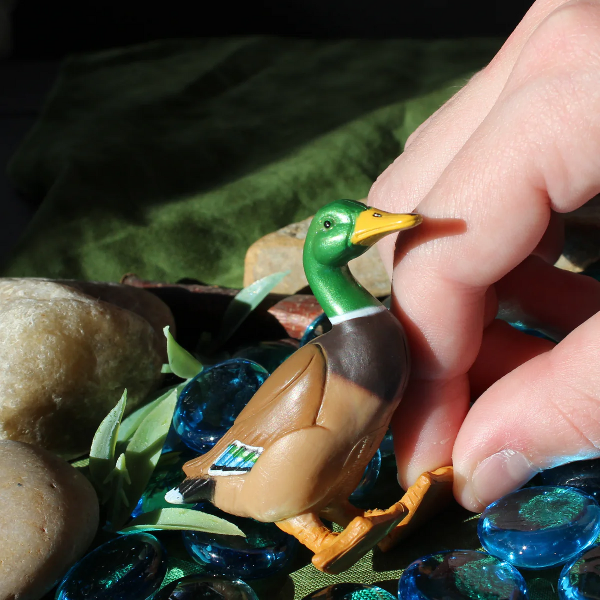Safari Ltd Duck