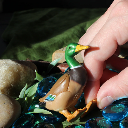 Safari Ltd Duck
