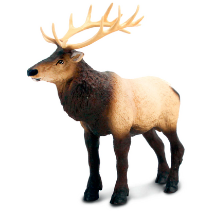 Safari Ltd Elk