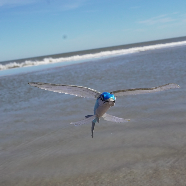 Safari Ltd Flying Fish XL – Animal Kingdoms Toy Store