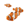 Safari Ltd Good Luck Mini Clownfish