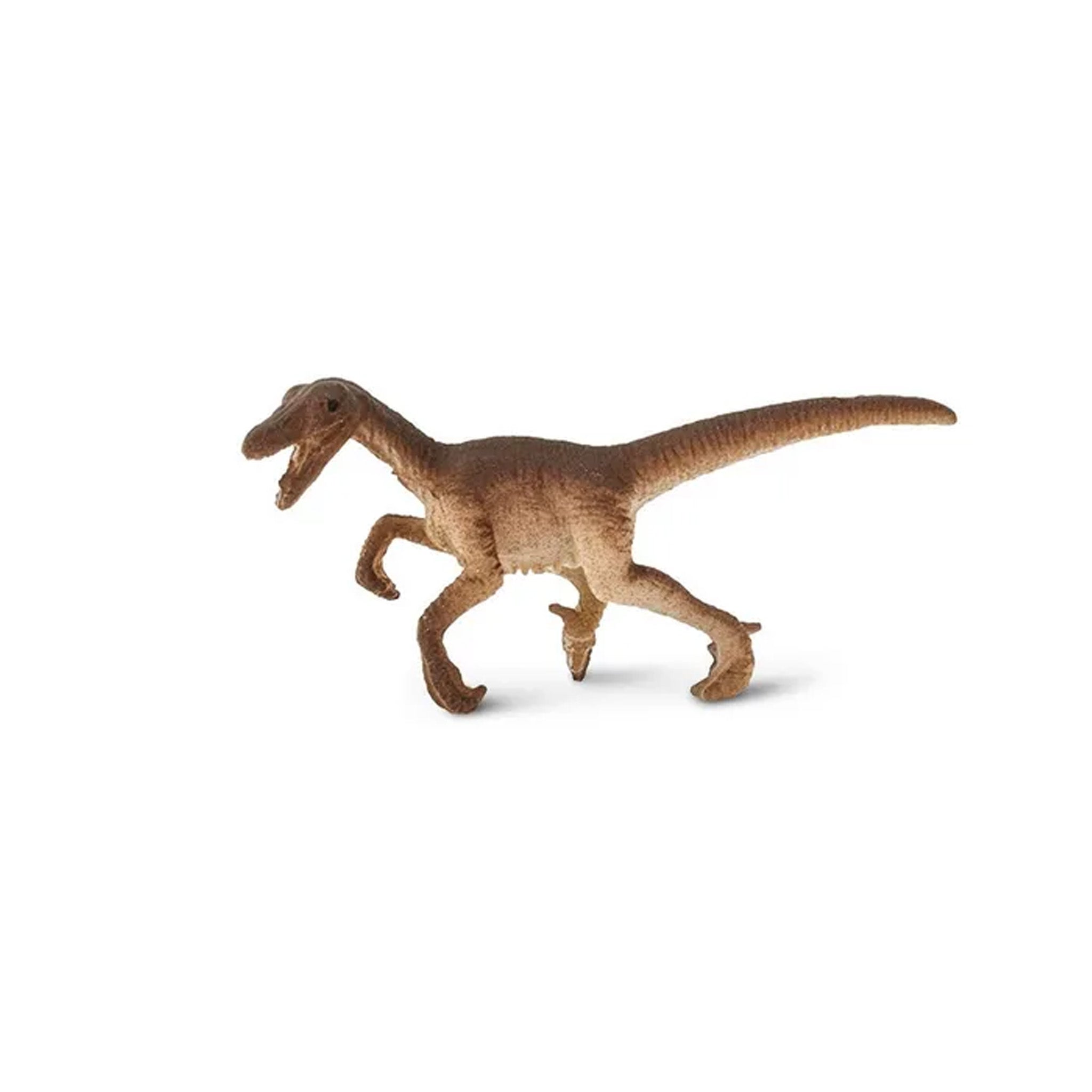 Safari Ltd Good Luck Mini Raptor – Animal Kingdoms Toy Store