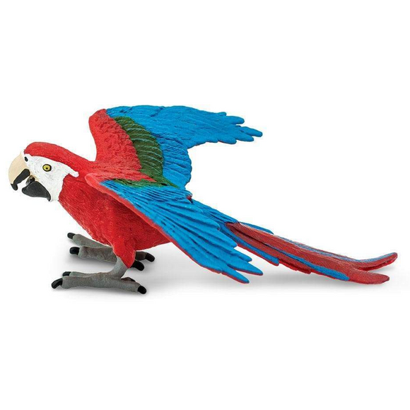 Safari Ltd Green-Winged Macaw