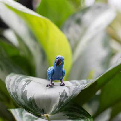 Safari Ltd Hyacinth Macaw