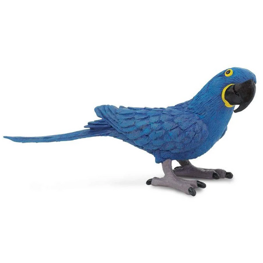 Safari Ltd Hyacinth Macaw