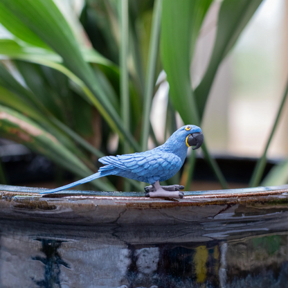 Safari Ltd Hyacinth Macaw