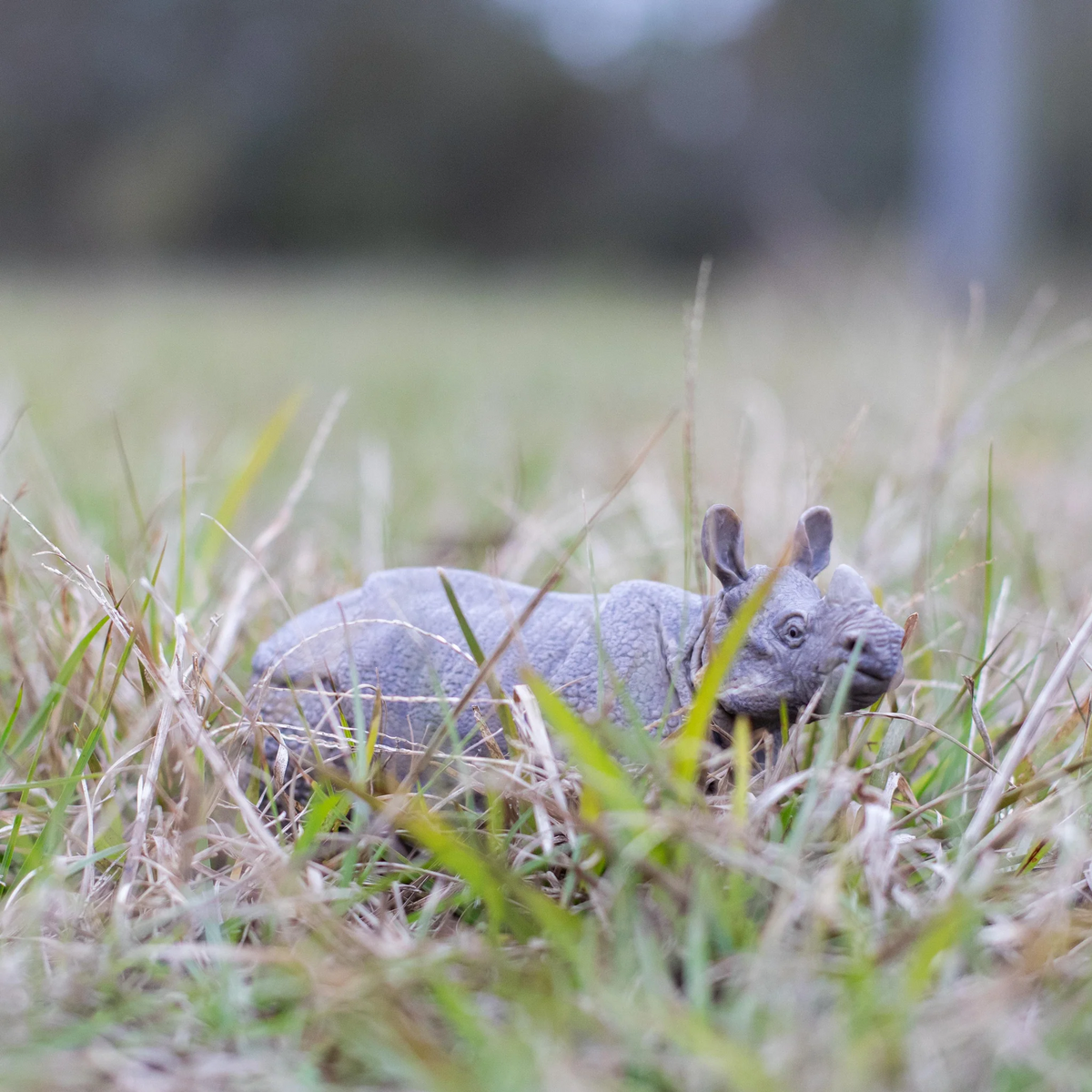 Safari Ltd Indian Rhino